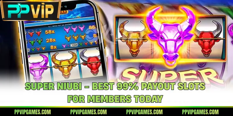 Super Niubi - Best 99% Payout Slots For Members Today